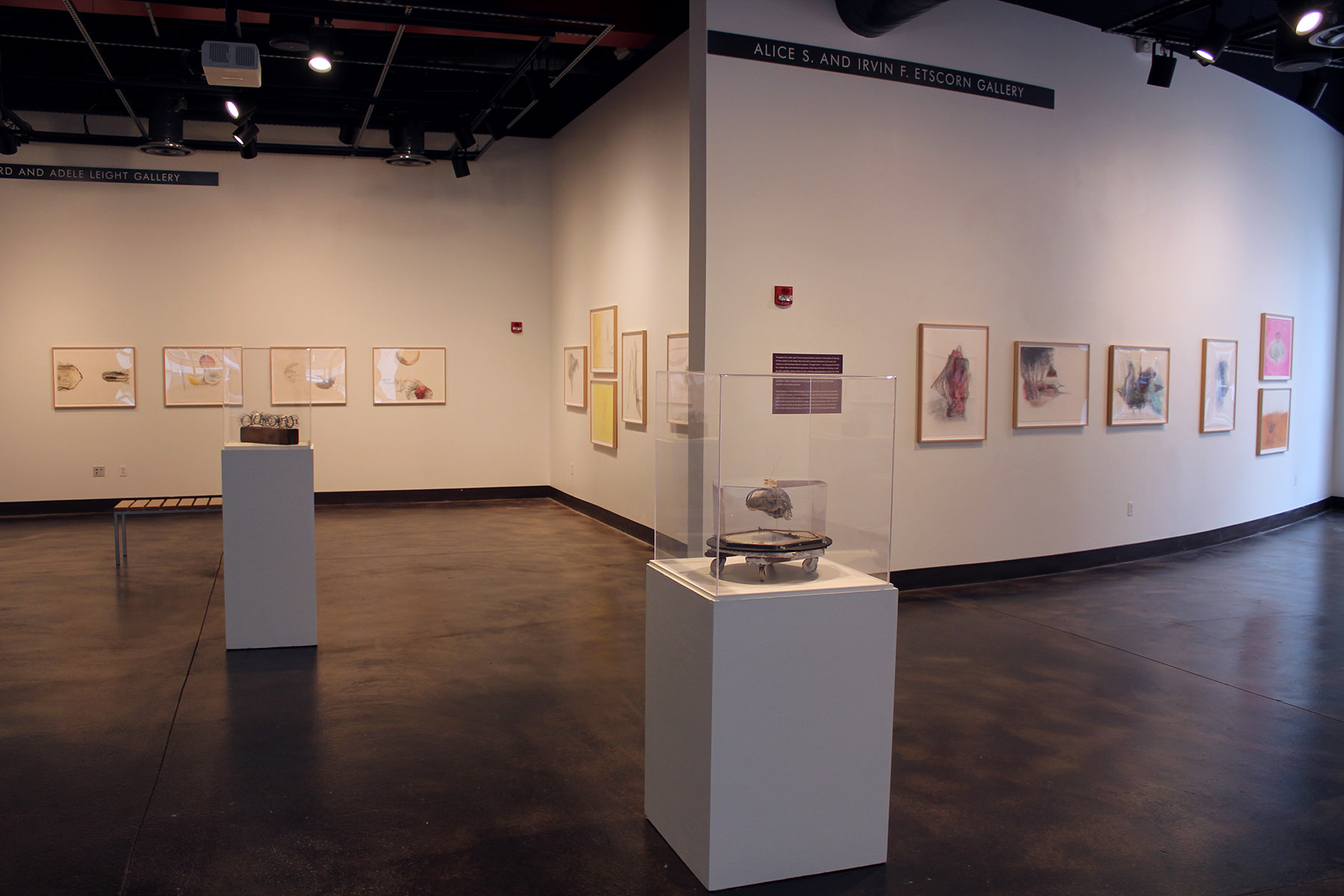 installation view of donottellmewhereibelong @ Cressman Center for visual arts at the university of louisville