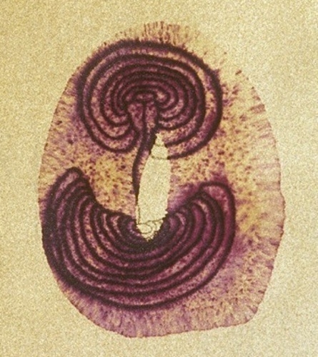 Turnings sandpaper drawing crop