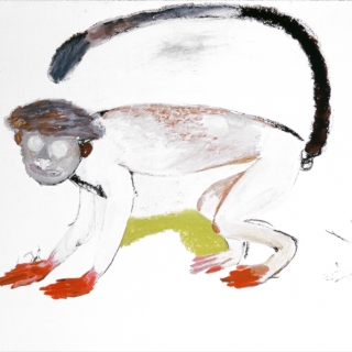 Drawing Monkeys red paws 